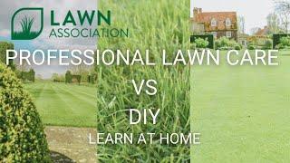 PROFESSIONAL LAWN CARE VS DIY LAWN CARE  Lawn Association