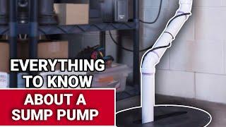 Everything To Know About A Sump Pump - Ace Hardware