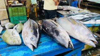 Amazing Most Popular Daily Busy Fish Market  Fish Cutting Skills