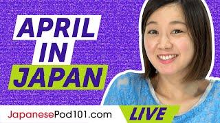 Whats happening in April in Japan?  Must-Know Kanji for Beginners