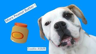 My Dog loves Peanut Butter -  1ST ASMR