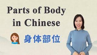 Learn Parts of Body in Chinese 丨 Beginner Chinese