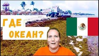 ГДЕ ОКЕАН? Мексика встречает нас колючим сюрпризом. Mexico 2021 Playa Del Carmen