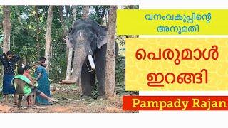 Pampadi Rajan ഇറങ്ങി വനം വകുപ്പിന്റെ അനുമതി#vmpradeepmedia#elephantstory#nattanakatha