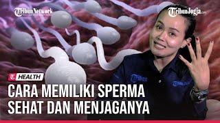 4 LANGKAH AGAR MEMILIKI SPERMA YANG SEHAT