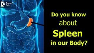 What is Spleen? Causes Signs Symptoms of enlarged spleen - Dr. Ravindra B S