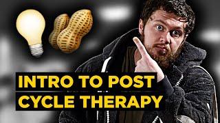 The BASICS of Post Cycle Therapy and On-Cycle Support for BEGINNERS How to KEEP the Lights ON 