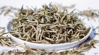 5 Reasons To Drink A Glass Of White Tea Daily