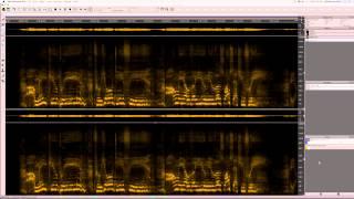 SpectraLayers Pro 3  SpectralCasting