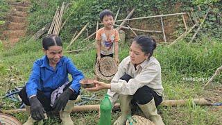 7 days recovery after terrible floods. Sow seeds and harvest squash Nhung Daily Life