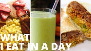 What I Eat In A Day QUICK and EASY Meals