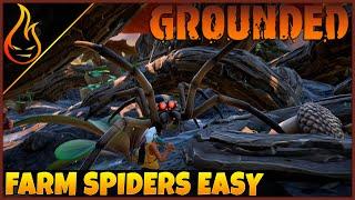 How To Fight Spiders In Grounded The Game