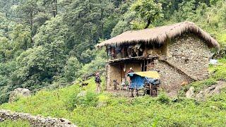 Surviving Life in Nepali Mountains during the Rainy Season  Very Peaceful and Relaxing  IamSuman
