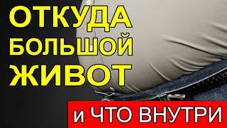 А Вы знаете откуда у Мужчин берется Большой выпирающий Живот и как от него избавиться