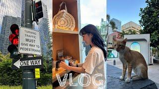 VLOG 일상 브이로그  필리핀 선교여행이라고 부르고 먹방  직장인 브이로그   Daily Vlog in the Philippines