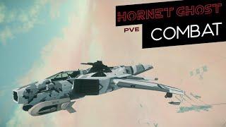 Hornet Ghost PvE