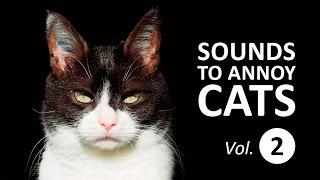 10 SOUNDS TO ANNOY CATS  Make your Cat Go Crazy HD Vol. 2