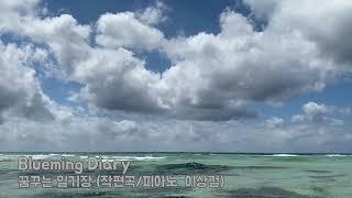 Blueming Diary -  Lee Sang GuI 꿈꾸는 일기장 잔잔한 부드러운 이상걸 피아노 연주곡