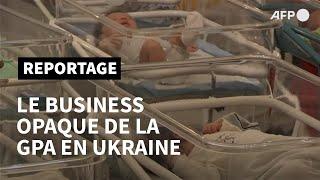 La GPA une fabrique à rêves opaque en Ukraine  AFP