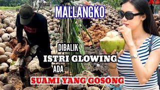 PROSES KUPAS KELAPA JAMBUL  SUNGAI JAMBAT  ISTRI GLOWING SUAMI GOSONG