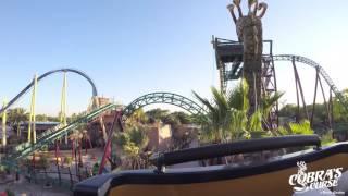 Multi-Angle POV of Cobras Curse  Busch Gardens Tampa Bay