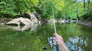 River Fishing for Trout Bass & Sunfish