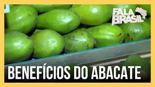 Consumo de abacate pode ajudar a combater doenças cardiovasculares diz pesquisa