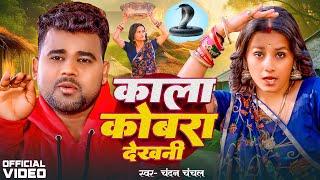 Video  #Chandan Chanchal  काला कोबरा देखनी  Kala Cobra  Soumya Pandey  New Bhojpuri Song 2024