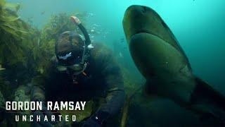 Gordon Ramsays Trials and Triumphs in Free Diving  Gordon Ramsay Uncharted