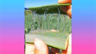 Oddly Satisfying Video  The Perfection Delights Your Eyes
