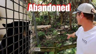 We Found An Abandoned ZOO￼