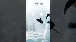 Fact about snowflake