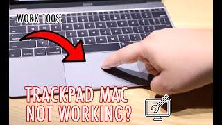 7 Ways to Fix Trackpad Mouse Not Working on Mac Touchpad Error