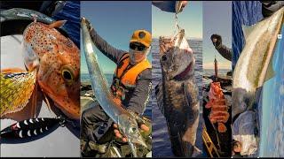 JETSKI 800ft DEEP SEA SLOW PITCH JIGGING 5 DIFFERENT SPECIES Fishing NewZealand Seadoo Fish Pro