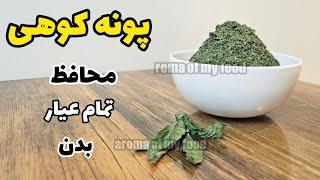 نحوه صحیح چیدن ،خشک کردن پونه کوهی و آشنایی با خواص آن  پونه خشک  پونه کوهی oregano