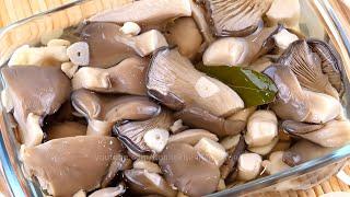 Соленые грибы вешенки за сутки Рецепт быстрой засолки грибов горячим способом Грибы без уксуса