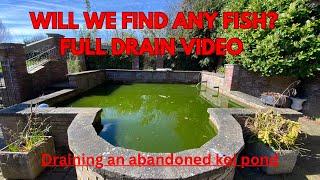Draining an Abandoned Koi Pond