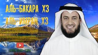 3x АЛЬ-БАКАРА 3x АЛЬ-ИМРАН  МИШАРИ РАШИД