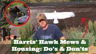 HOW TO Keep Your Harris’ Hawk HARRIS’ HAWK MEWS Housing Your Bird of Prey Freeloft Perches