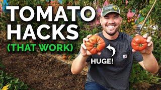 9 Tomato Growing Tips That Actually Work