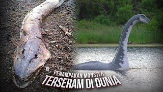 Inilah 8 Penampakan Makhluk Hidup Misterius Yang Tertangkap Kamera Paling Nyata Bentuknya