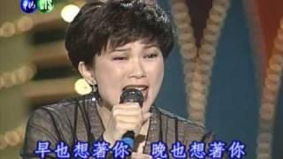 風之網  演唱人  張鳳鳳   演唱曲   我自己騙自己