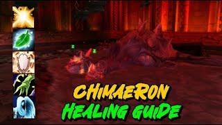 Heroic Chimaeron Guide for Healers - Cataclysm Classic