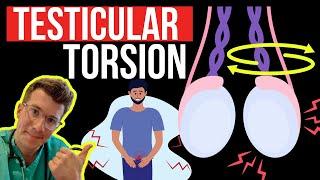 Doctor explains TESTICULAR TORSION twisting of the testicle  Symptoms causes and surgery