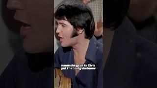 Would you believe that the king is still alive #shortvideo #elvis #elvispresley #king #shorts