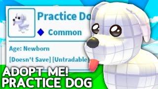 How To Get The SECRET Practice Dog Pet In Adopt Me Roblox