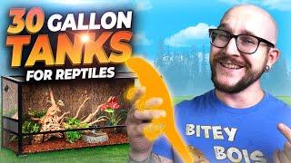 Reptiles YOU DIDN’T KNOW Could Live in a 30 Gallon Enclosure FOREVER