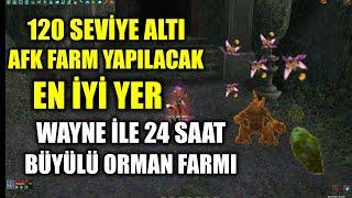 Yağma Peti ile 24 Saat Afk Büyülü Orman Farmı Metin2 TR #metin2 #metin2tr