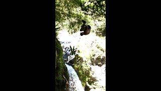 Jump Off Secret Hawaiian Waterfall