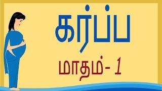 Pregnancy  Tamil  Month 1  கர்ப்பம் மாதம் 1